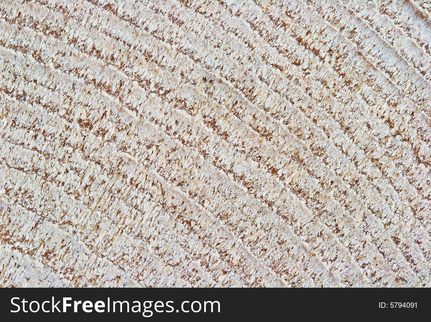 Macro photo of a seamless wooden texture
