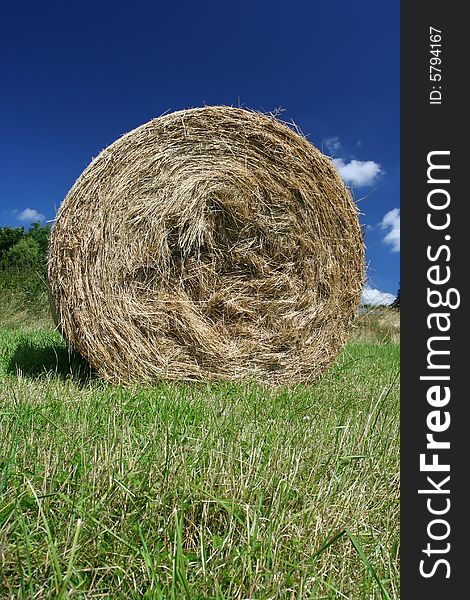 A hay bale in a field.