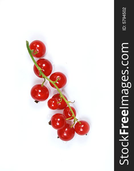 Branch with red currants isolated on white