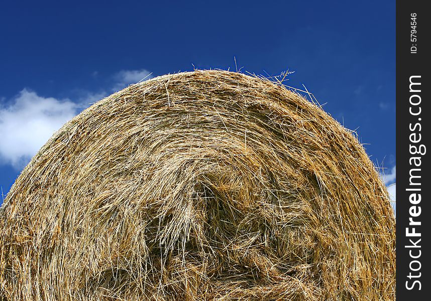 Detail of a hay bale. Detail of a hay bale