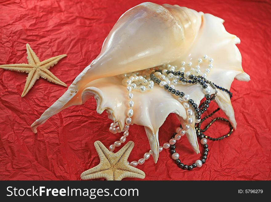 Necklaces from pearls in a large marine cockleshell on the red background of jeweller shop