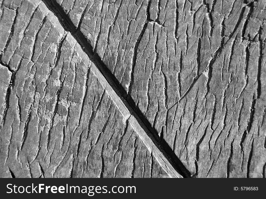 The texture of wooden peel