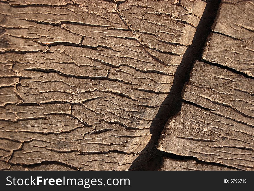 Macro detail of a wooden texture