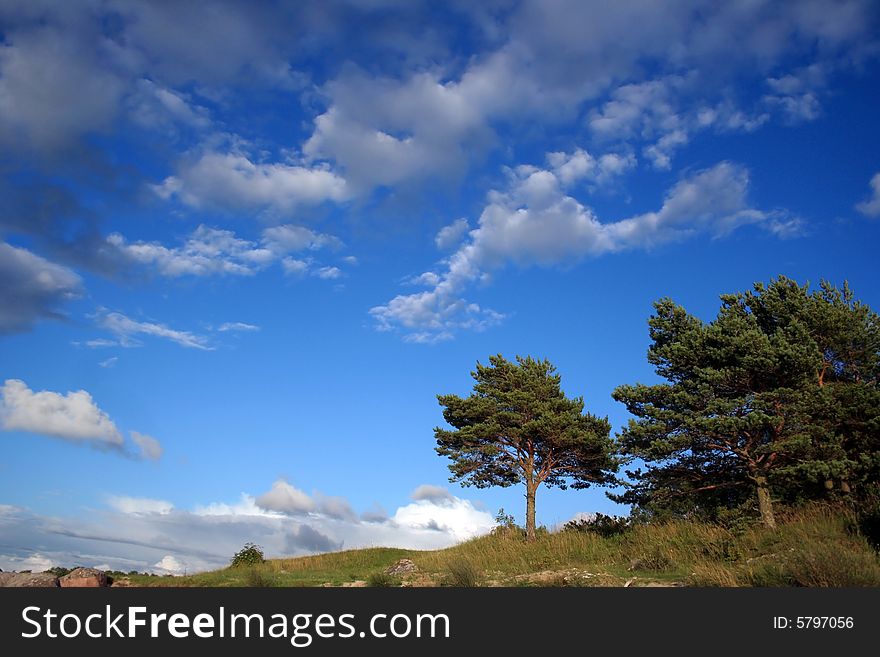 Green tree and the blue cloudy sky. Green tree and the blue cloudy sky