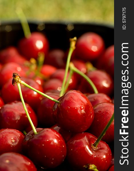 Sweet cherry in a plastic bowl