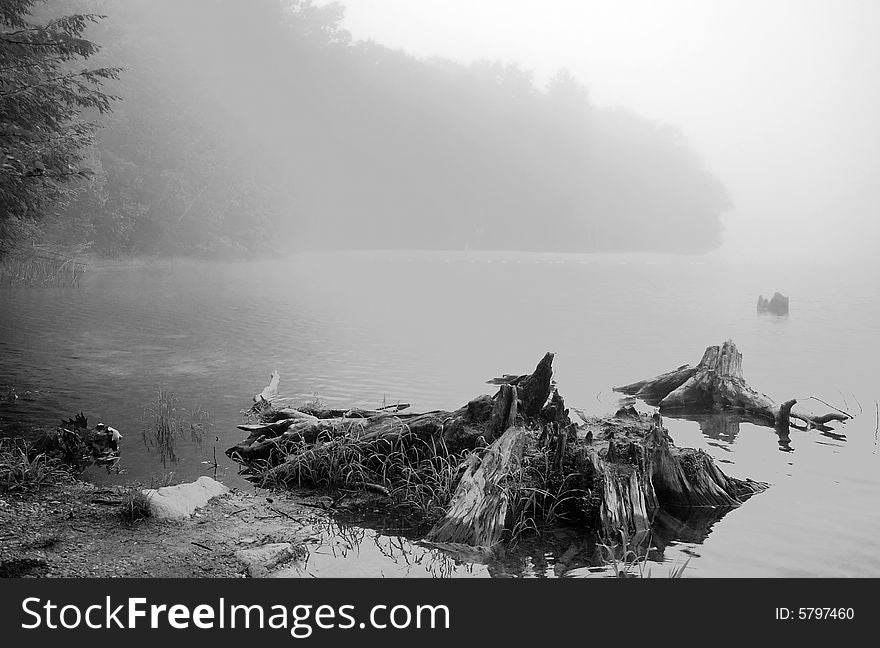A foggy morning at Locust Lake State Park,Schuylkill County,Pennsylvania.
