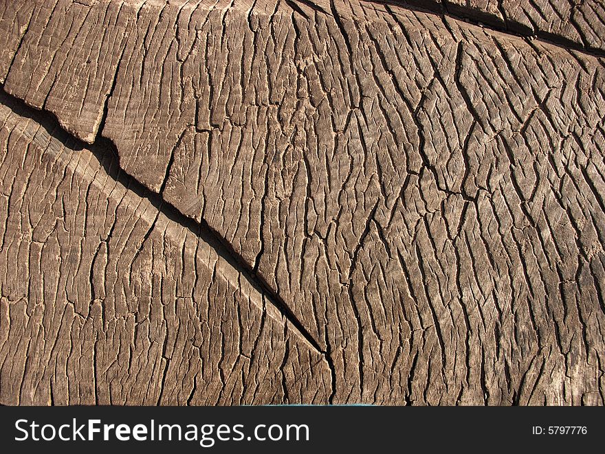 A detail of a wooden texture. A detail of a wooden texture