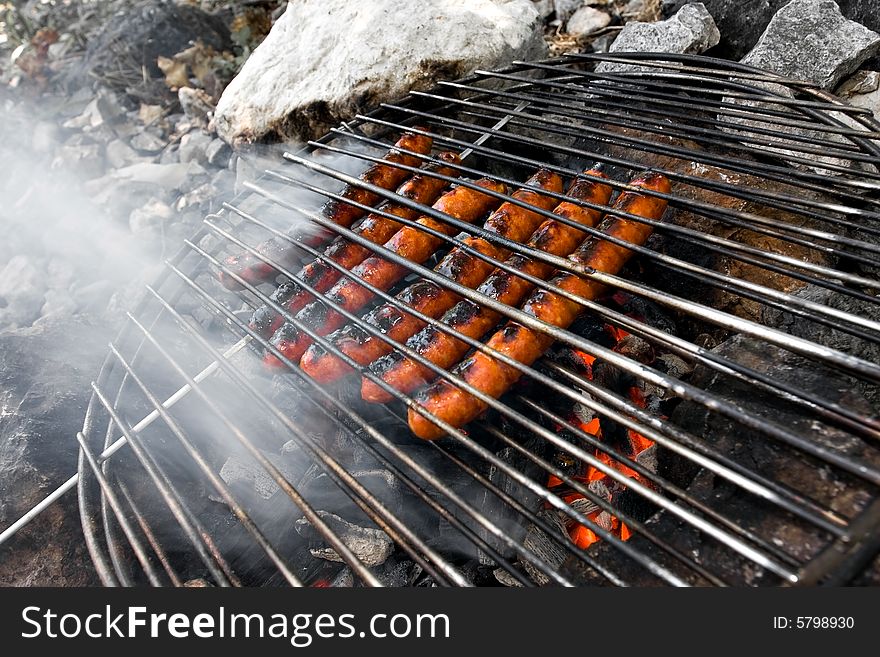 Meat on grill above campfire. Meat on grill above campfire