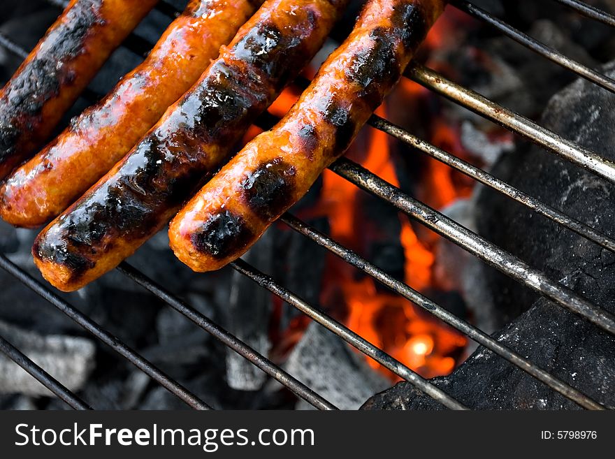 Meat on grill above campfire. Meat on grill above campfire