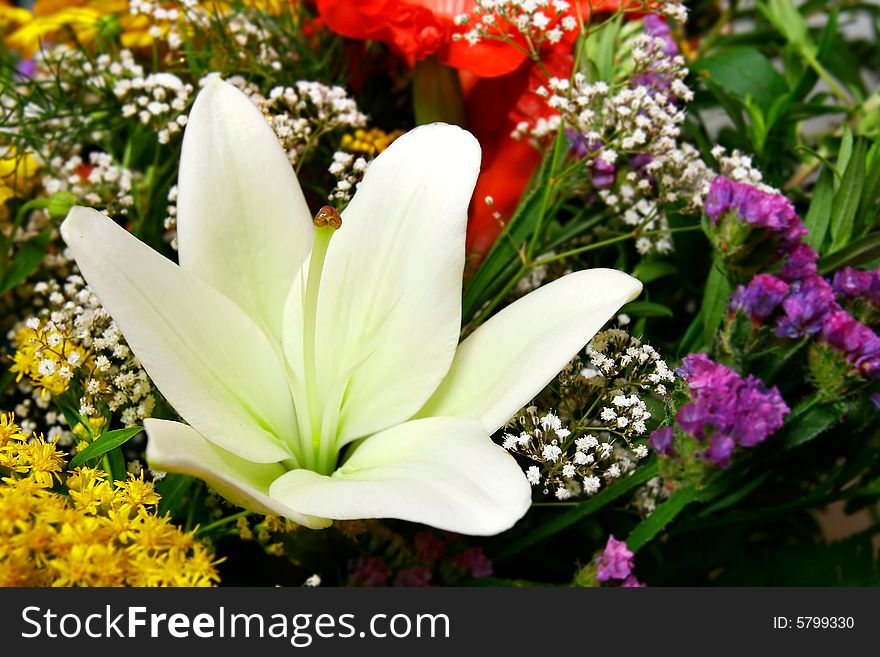 White lily in bouquet