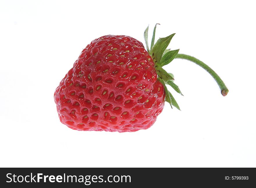 Red strawberry in the white background