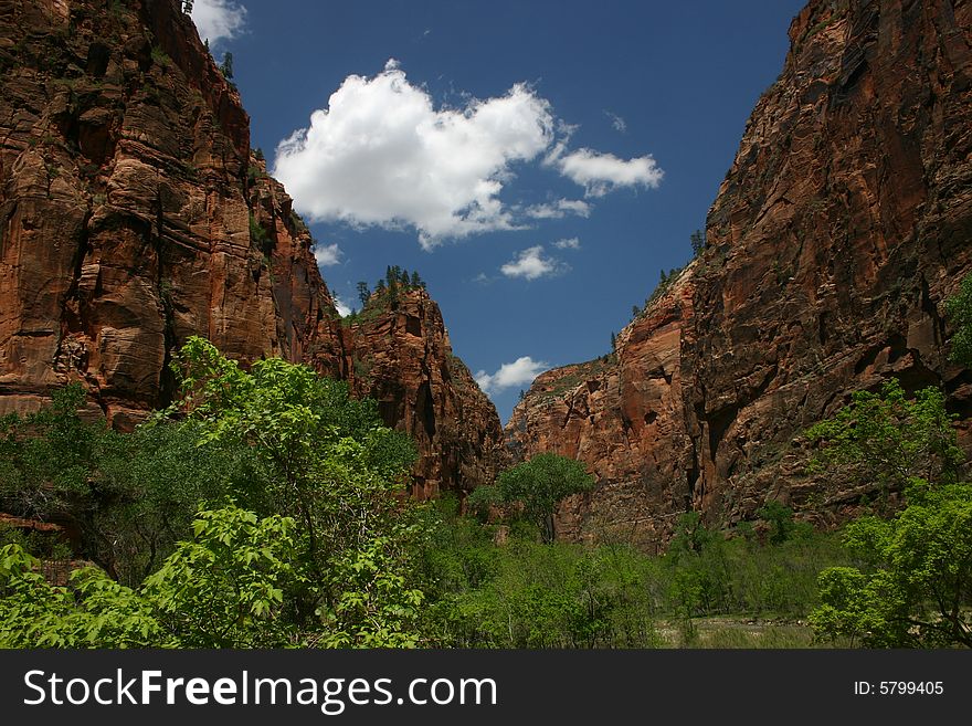 A Zion National Park landscape