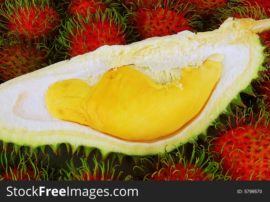 Tropical fruits - Durian on Rambutans background.