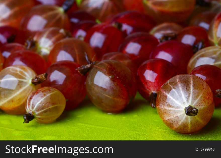 Red-ripe appetite and full of vitamenes gooseberry. Red-ripe appetite and full of vitamenes gooseberry