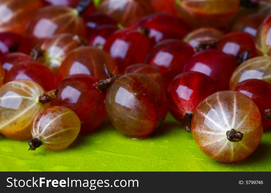 Beautiful Gooseberry