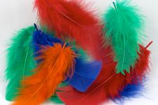 Dyed Feathers Royalty Free Stock Images Dyed Feathers Royalty Free Stock Images