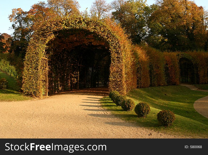 Park with plants with the formof a tunnel. Park with plants with the formof a tunnel