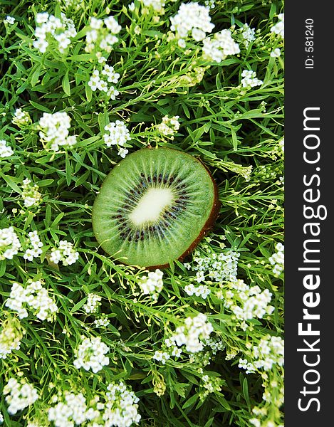 Slice of kiwi in the middle of grass