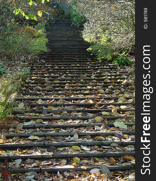 Steps covered by leaves in the garden of Dartington Hall in Devonshire, United Kingdom. Steps covered by leaves in the garden of Dartington Hall in Devonshire, United Kingdom