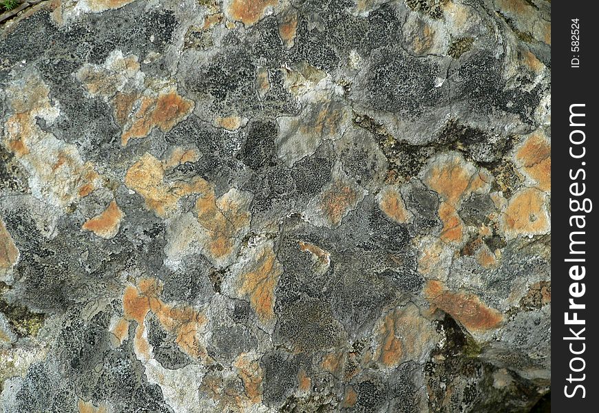 Shapes on a rock. Great background or texture