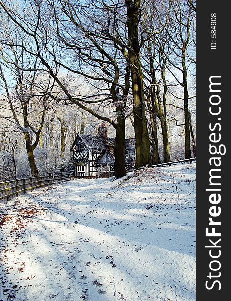 Worsley Woods in winter