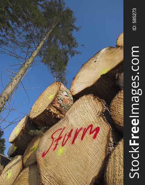 Storm damage, stacked stems