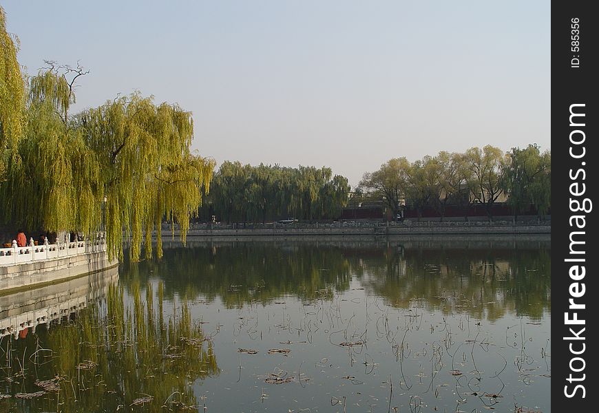 Beijing China - Willows Beihai Park
