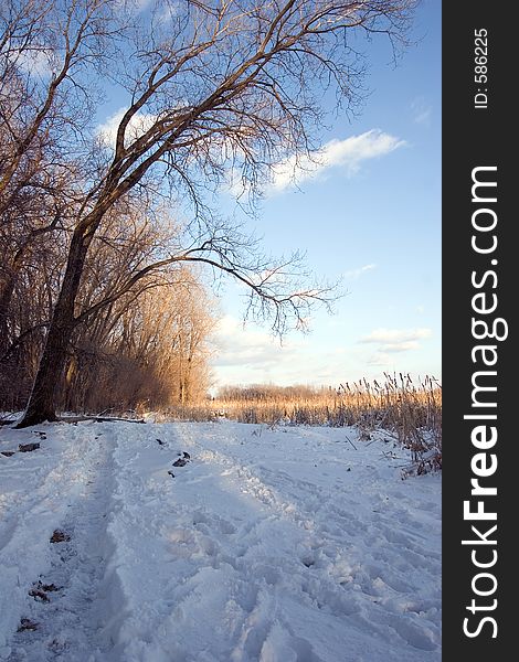 Walking path along a Mississippi River basin wetlands area