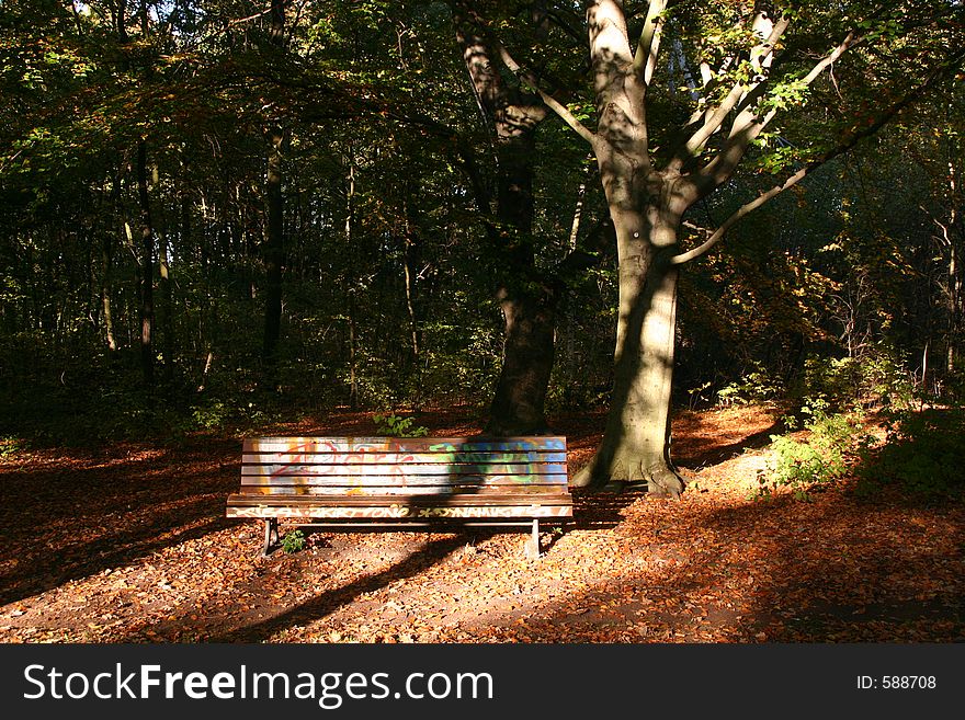 Bench with graffiti in a park. Bench with graffiti in a park