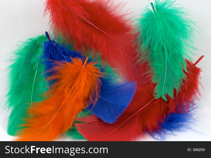 A pile of dyed feathers