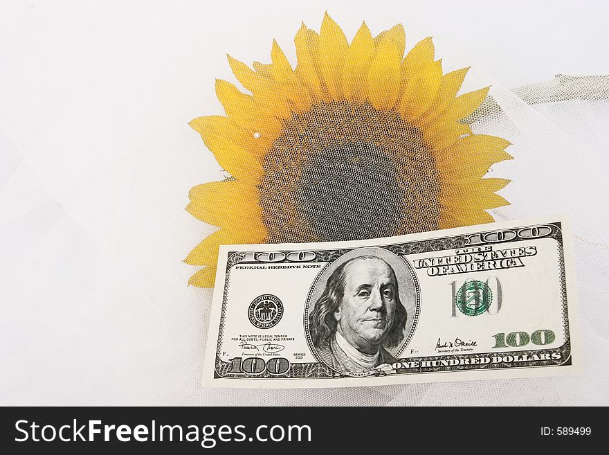 $100 Bill And A Yellow Sunflower