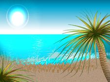 Beach Royalty Free Stock Photography Beach Royalty Free Stock Photography