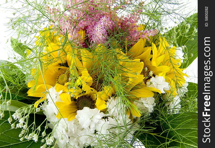 The colorful flowers isolated on white background