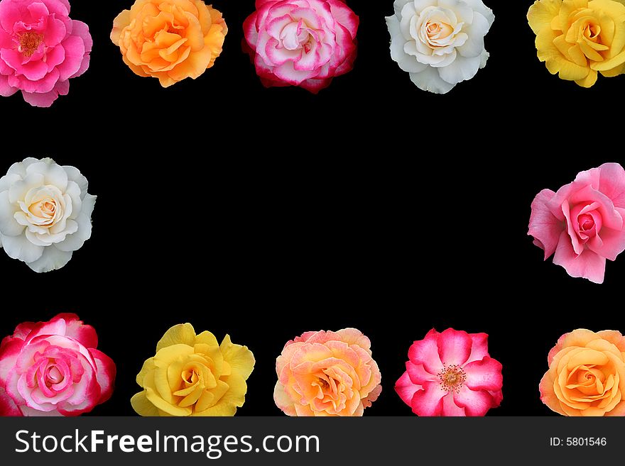 Collage of beautiful rose blossoms, isolated on black