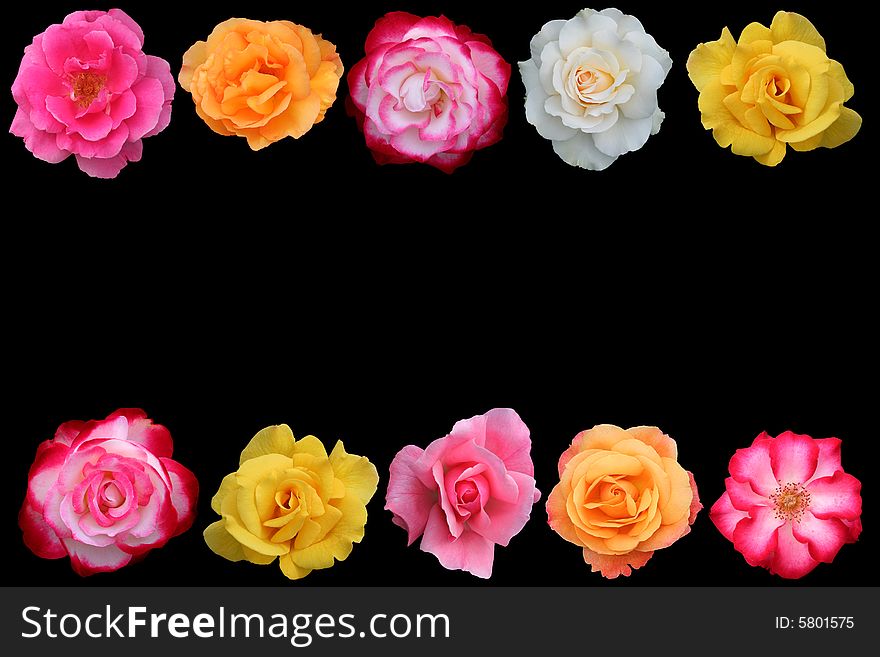 Collage Of Beautiful Rose Blossoms,