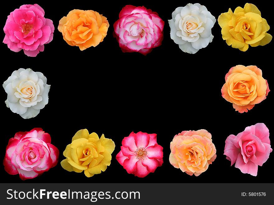 Collage of beautiful rose blossoms, isolated on black