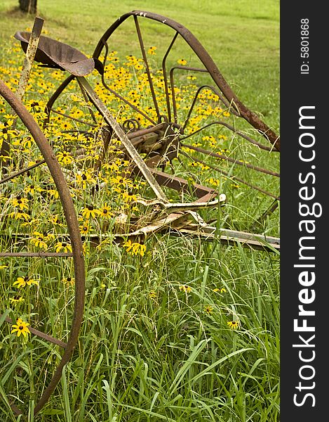 Rusty antique wheels in front of bright yellow Black-Eyed Susans in a rural scene. Rusty antique wheels in front of bright yellow Black-Eyed Susans in a rural scene.