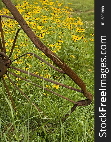 Rusty antique wheels in front of bright yellow Black-Eyed Susans in a rural scene. Rusty antique wheels in front of bright yellow Black-Eyed Susans in a rural scene.