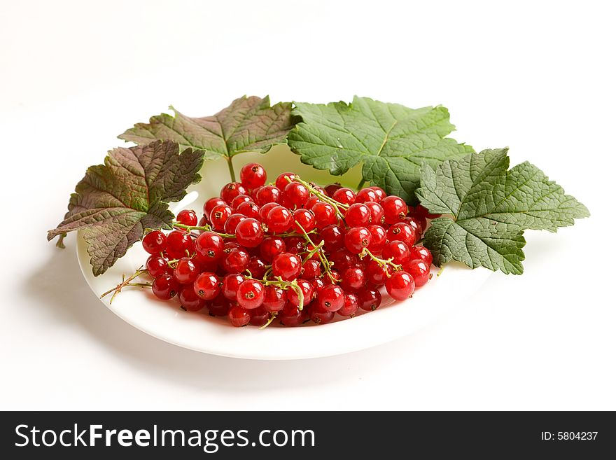White plate of red currant with leafs
