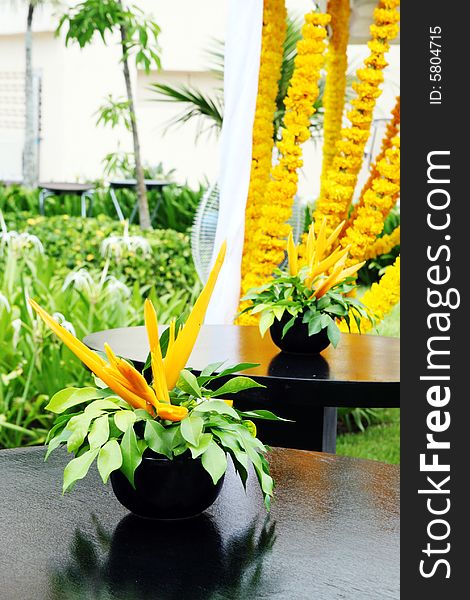 Vase of orange tropical flowers on a table.