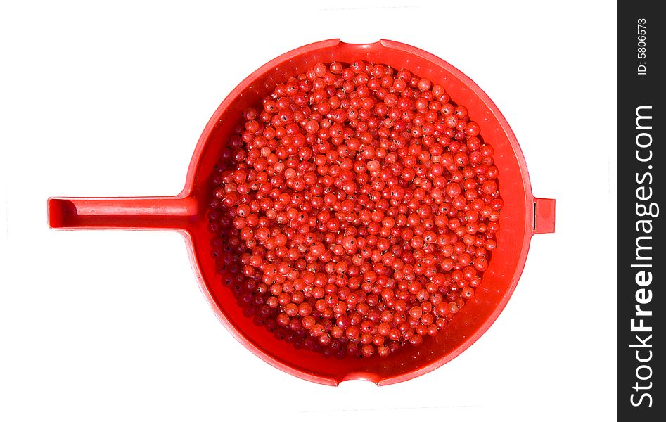 Red currants in a red scoop. Red currants in a red scoop