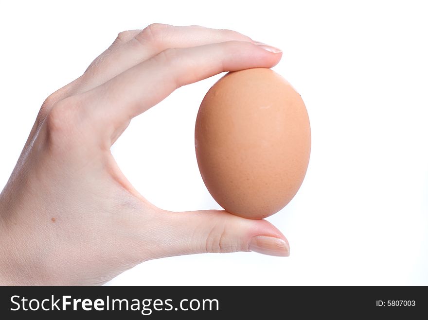 Egg In Hand