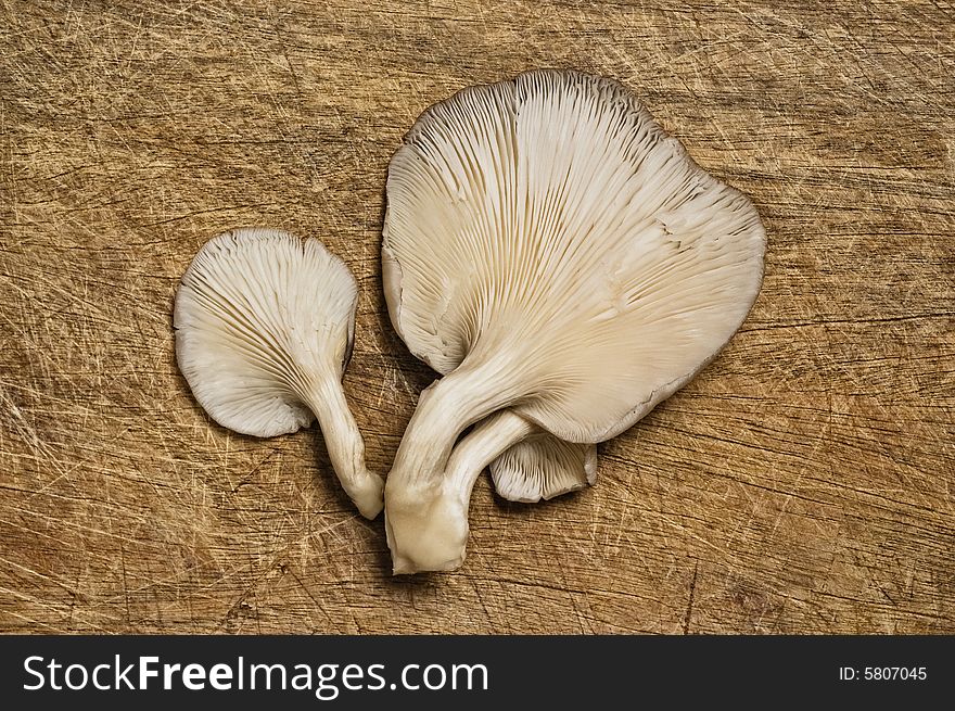 Fresh edible mushrooms on a wooden table.