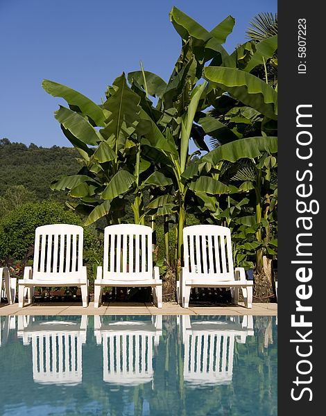 Three white sunloungers reflected in a blue swimming pool with gren palms in the background. Three white sunloungers reflected in a blue swimming pool with gren palms in the background