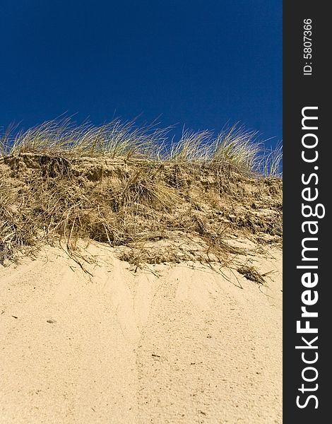 Grassy sand dune at the beach with dark blue sky. Grassy sand dune at the beach with dark blue sky