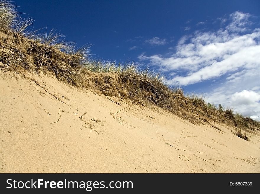 Grassy sand dune at the beach with dark blue sky and white clouds. Grassy sand dune at the beach with dark blue sky and white clouds