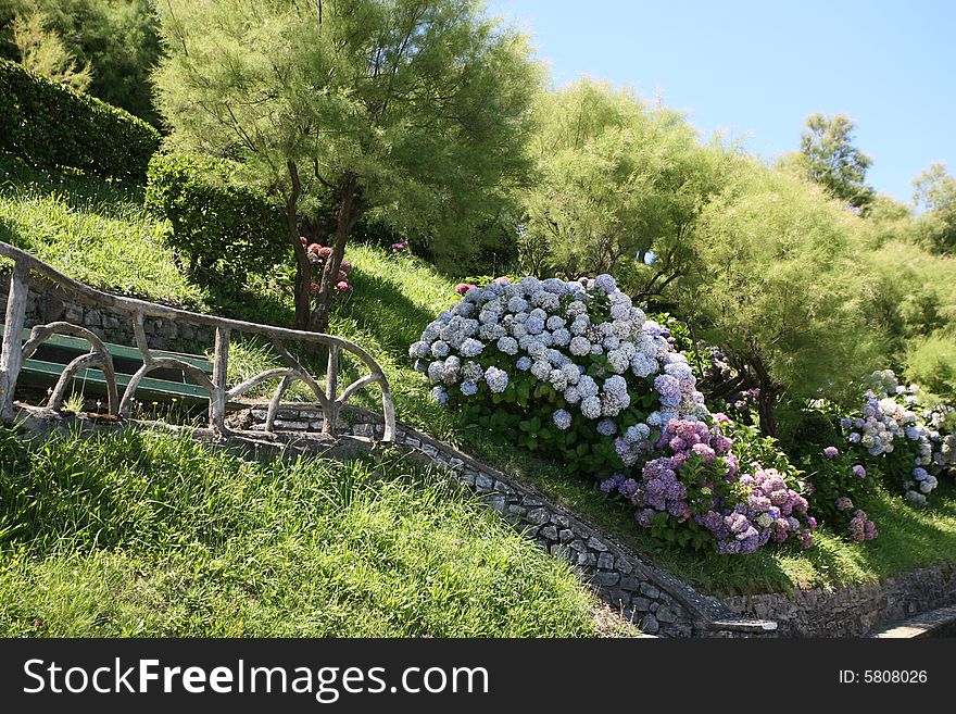 A beautiful place, the old park in Bearitz France. A beautiful place, the old park in Bearitz France