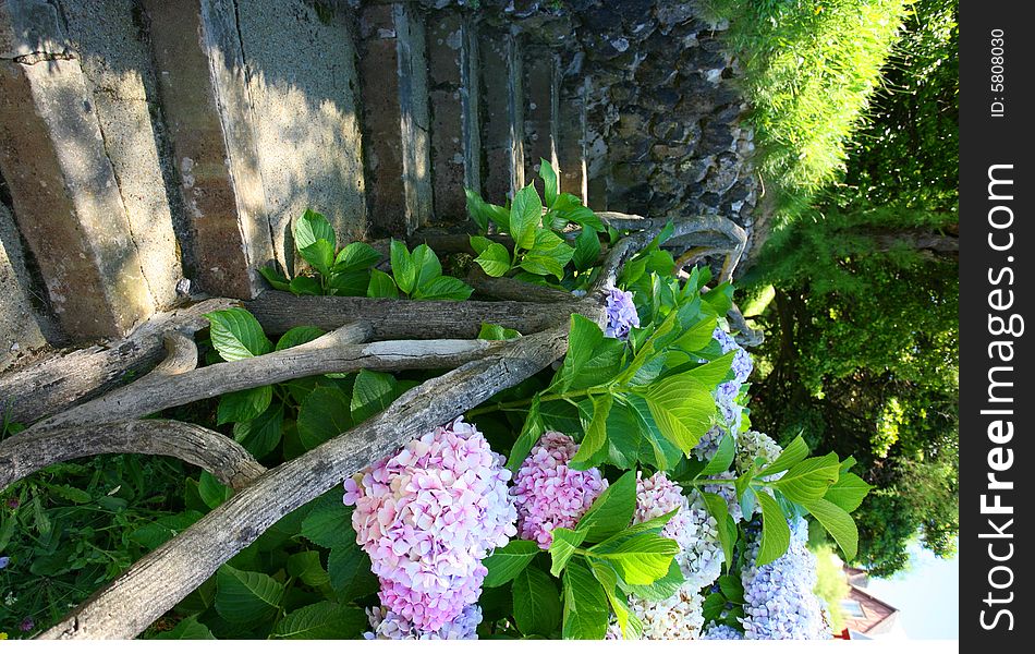 A beautiful place, the old park in Bearitz France. A beautiful place, the old park in Bearitz France