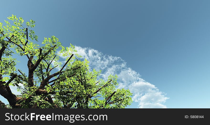 Beautiful cloudscape with tree. 3d image