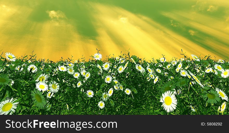 Beautiful field of flowers in the god rays. Beautiful field of flowers in the god rays